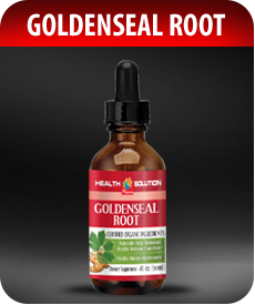 Goldenseal Root Drops by Vitamin Prime